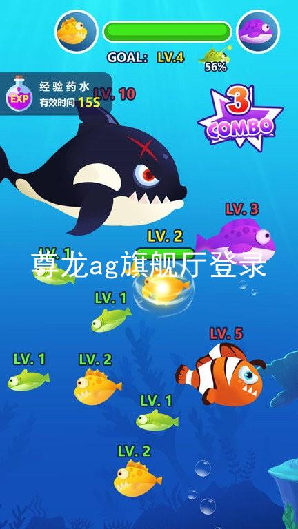 尊龙ag旗舰厅登录