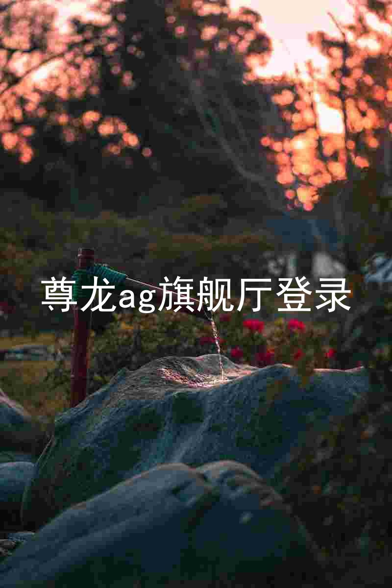 尊龙ag旗舰厅登录