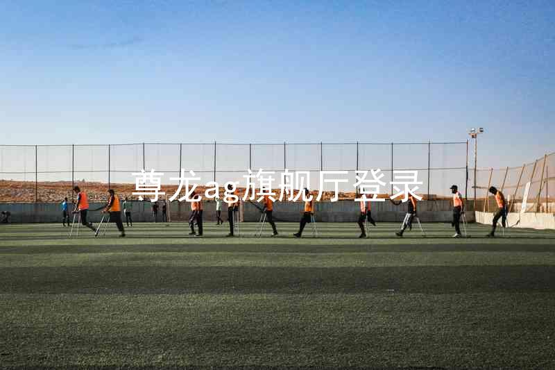 尊龙ag旗舰厅登录