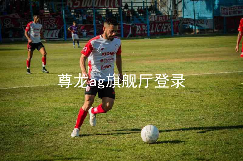 尊龙ag旗舰厅登录